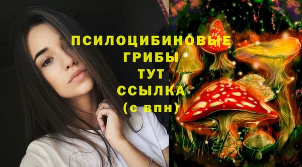 spice Горно-Алтайск